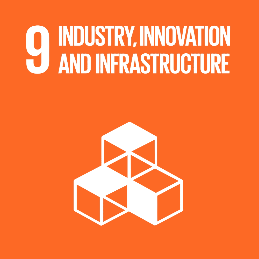 SDG 9