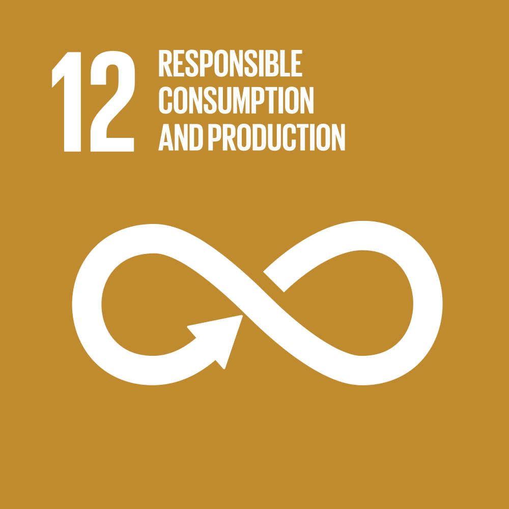 SDG 12