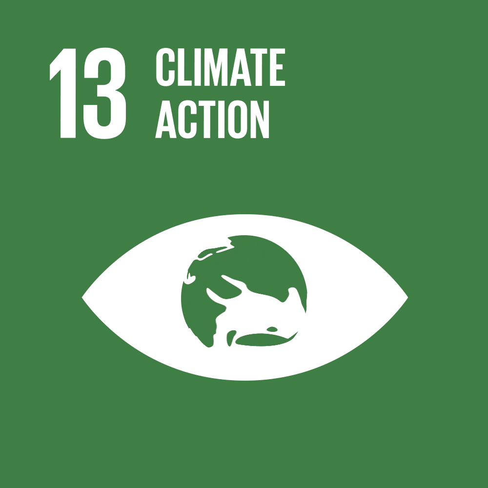 SDG 13