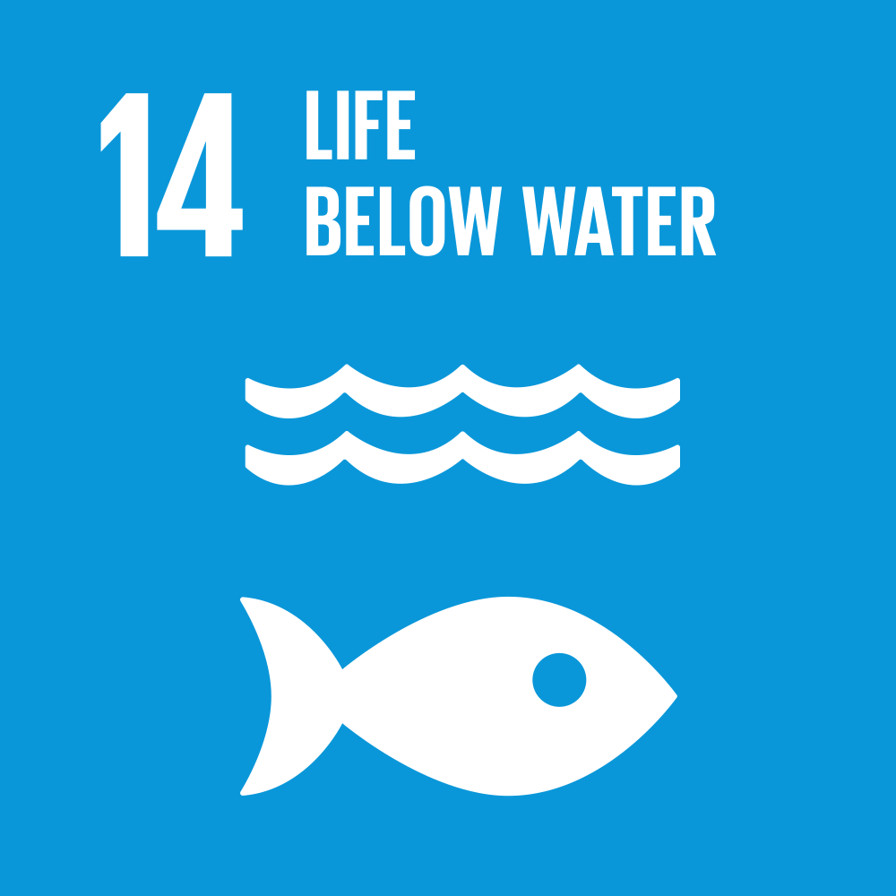 SDG 14